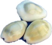 Денежные раковины Каури